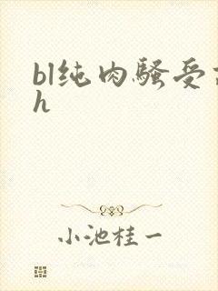bl纯肉骚受高h