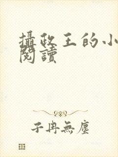 摄政王的小闲妻阅读