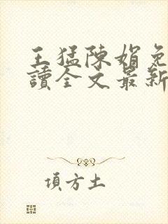 王猛陈娟免费阅读全文最新章节封面