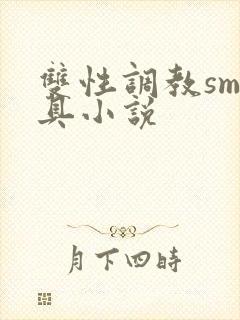 双性调教sm道具小说封面