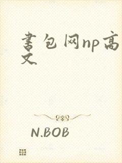 书包网np高辣文