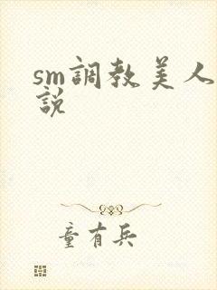 sm调教美人小说