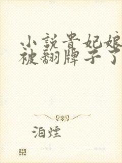 小说贵妃娘娘又被翻牌子了