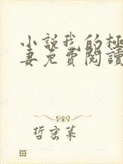 小说我的极品娇妻免费阅读全文