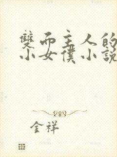 双面主人的巨乳小女仆小说