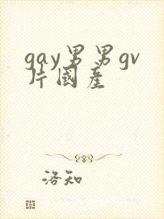 gay男男gv片国产封面