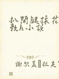 扒开腿揉花蒂调教h小说