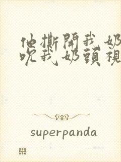 他撕开我奶罩揉吮我奶头视频