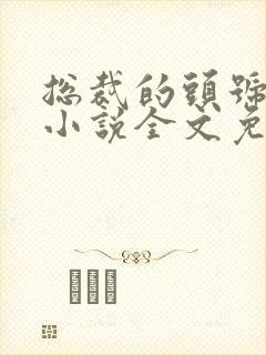 总裁的头号新妻小说全文免费阅读