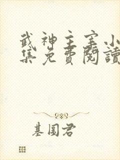 武神主宰小说全集免费阅读全文