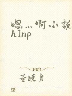 嗯…啊小说[高h]np