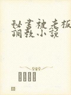 秘书被老板sm调教小说