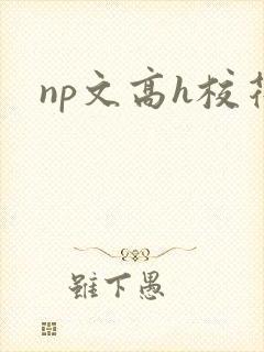 np文高h校花