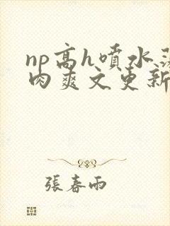 np高h喷水荡肉爽文更新时间封面