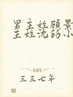 男主姓顾景琛女主姓沈的小说