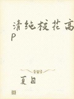 清纯校花高hnp