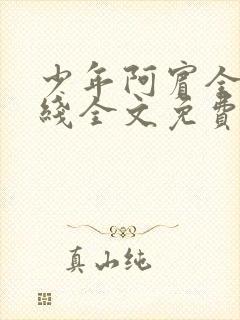 少年阿宾全集在线全文免费阅读