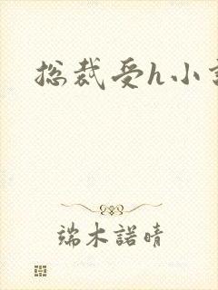 总裁受h小说封面