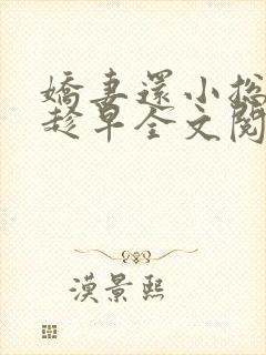 娇妻还小总裁要趁早全文阅读封面