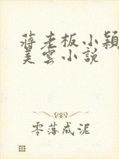 蒋老板小颖,冯美云小说