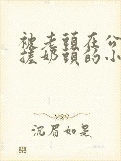 被老头在公园揉搓奶头的小说封面