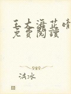 王大海芷晴正版免费阅读封面