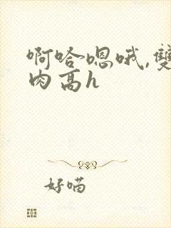 啊哈嗯哦,双性肉高h