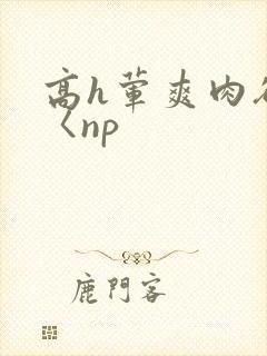 高h荤爽肉欲文〈np