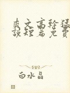 爽文高干猛文小说短篇免费阅读封面