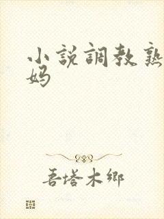 小说调教熟妇妈妈