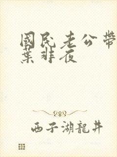 国民老公带回家叶非夜