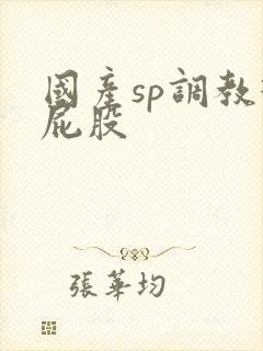 国产sp调教打屁股封面