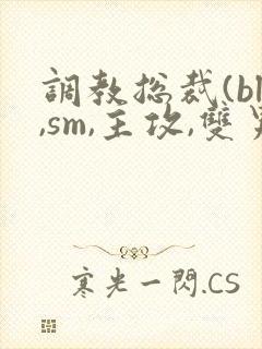 调教总裁(bl,sm,主攻,双男)