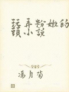 玩弄粉嫩的小奶头小说封面