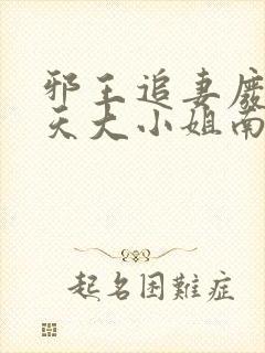 邪王追妻废材逆天大小姐南宫流云