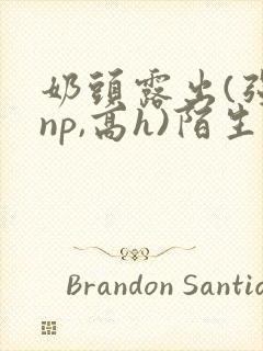 奶头露出(强jnp,高h)陌生人小说