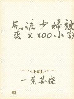 风流少妇被粗大爽ⅹxoo小说