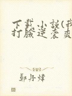 下载小说(我靠打脸逆袭爽文女主)