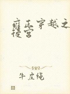 雍正穿越之无限后宫