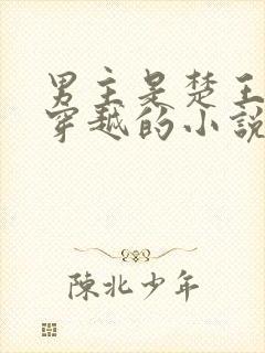 男主是楚王女主穿越的小说