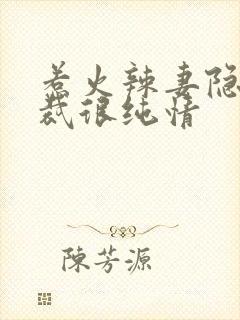 惹火辣妻隐婚总裁很纯情