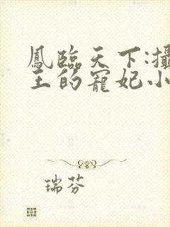 凤临天下:摄政王的宠妃小说小说封面