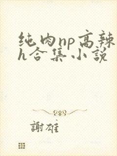 纯肉np高辣文h合集小说