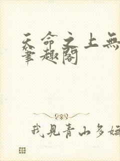 天命之上无弹窗笔趣阁