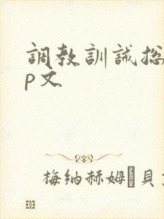 调教训诫总裁sp文