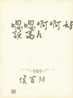 嗯嗯啊啊好爽小说高h