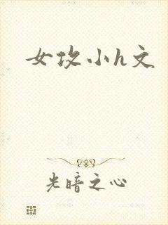 女攻小h文