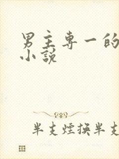 男主专一的玄幻小说封面