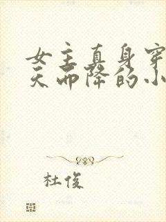 女主真身穿越从天而降的小说