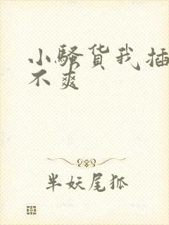 小骚货我插的爽不爽